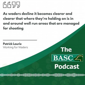The BASC Wildlife Fund is dedicated to funding projects that create and protect our natural habitats; where wildfowl and game, and animal and plant species of all kinds can flourish... It's also the subject covered in our November podcast! Host Tom talks about projects which have used the fund to improve shooting and conservation and explores how you can use and support it. Listen here: https://orlo.uk/BASC_Podcast_rSFyG or on any of the major podcast platforms. | BASC - The British Association 
