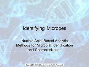 Microbial Identification Molecular Methods