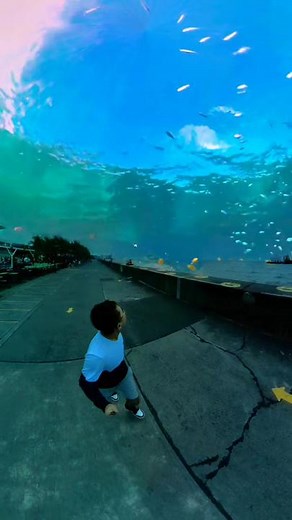 Manila Ocean Park at Moa Beach Side - Exploring the Seaside Experience