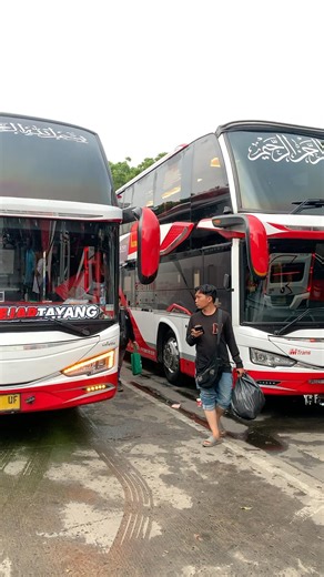 Bus Mtrans Double Deck & Single Deck #luxurybus #mtrans #transportation #busmania #travelusa
