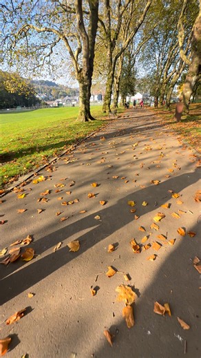 35K views · 361 reactions | This is what Sundays are made for 李 Discover the autumn charm of Pontypridd with a walk around Ynysangharad park and Sunday roast at The Bunch of Grapes — an award-winning gastropub & microbrewery serving fresh, local ingredients and craft beers brewed on-site. #visitwales #croesocymru #wales #cymru #hwyl #feelthehwyl #visitrct #pontpridd #autumn #autumnwalks | Wales | Facebook