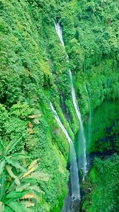 Soaked but so worth it! 💧💦 The mist from Madakaripura Waterfall is like nature’s own shower. Did you know that Madakaripura is one of the tallest waterfalls in Java, standing at 200 meters? 😱 If this place doesn’t take your breath away, nothing will! 🌿✨ 📍Madakaripura Waterfall, Probolinggo, East Java 🎥: @fpvjoe #MadakaripuraWaterfall #Probolinggo #EastJava #WonderfulJourney #WonderfulIndonesia | Indonesia.Travel