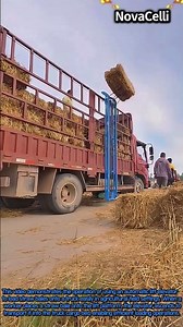 Truck Straw Loading Conveyor Lift in Action #worker #process #agriculture #machinery #harvesttime