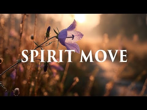 SPIRIT MOVE - Soaking Worship Instrumental | Prayer & Holy Spirit Flow