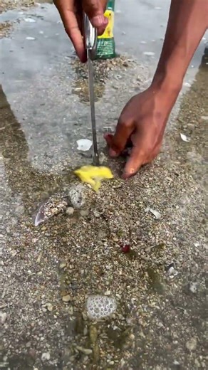 He Pulled It Out of the Sand… What Is This?! 😨