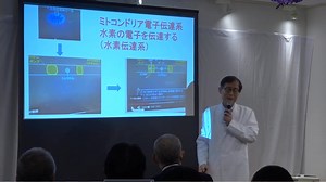 白川太郎医師のフルバージョンのミトコンドリアに関する講義、ミトコンドリアを活性することでほぼすべての病気は改善される。https://kondriplus.jp/?refCode=-9TmMMgl6Z