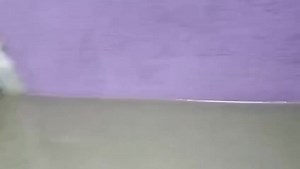 ESTUDIANTES DEL TECNOLÓGICO DE ZACATEPEC RESULTA AFECTADO POR LAS INUNDACIONES DE ESTA MADRUGADA Emanuel Bustamante, estudiante del Tecnológico de Zacatepec y originario de Oaxtepec, es uno de los jóvenes afectados por la creciente del río y las inundaciones que ingresaron a viviendas y cuartos cercanos al plantel. Emanuel relató que el agua entró de forma repentina, dejándolos sin oportunidad de rescatar sus pertenencias. Su vehículo quedó completamente cubierto por el agua y perdió ropa, artíc