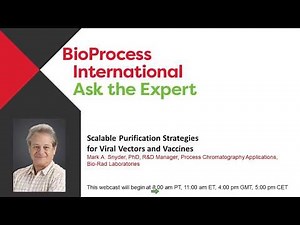 Scalable Purification Strategies for Viral Vectors and Vaccines