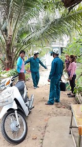 974K views · 6.5K reactions | Kêu dọn chứ ai biết gì đâu | Ông hoàng content | Facebook