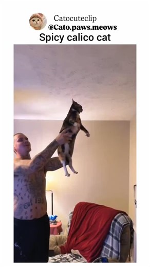 catocuteclip on Instagram: "😭💕"