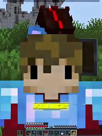 IS HE AFK OR NOT? #smallishbeans #grian #minecraft