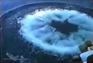 Ever seen this before?! | Scuba Diving Universe