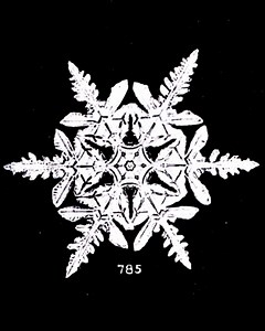 The First Photographs of Snowflakes: Discover the Groundbreaking Microphotography of Wilson “Snowflake” Bentley (1885)