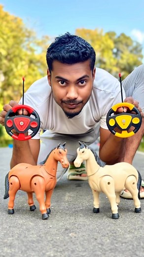 Rc Remote control 2 ta horses #share #short #horses | Bose i-s