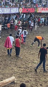 Tremendo salto en Chibolo Magdalena a uno de la Milagrosa | Brau De Leon