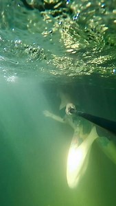 Spring fed waterfalls in Brazil 💚🇧🇷 @cachoeiraserradabodoquena Mask @cressi1946 Selfie stick @telesin_official Camera @gopro 12 #bodoquena #brazil #brasil #waterfalls #springs | Coralia Dives