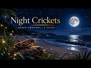 Pure Night Crickets Sounds (8 Hours) 💤 Deep Sleep, Stress Relief, Relaxing Nature