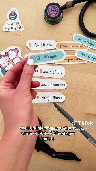Steps in the heart's electrical system🫀⚡ 💡Memory Trick: SEND A BIG BOUNDING PULSE ⚡ SA Node Primary pacemaker of the heart (60 - 100 bpm) ⚡ AV Node The secondary pacemaker of the heart