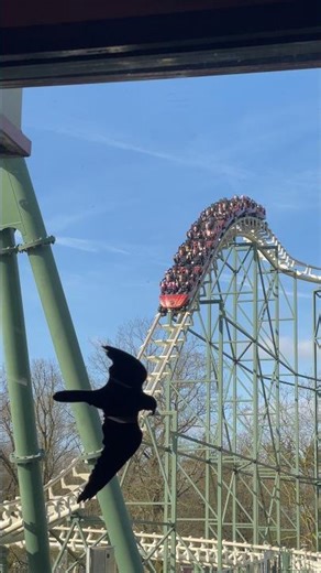 De python🐍[#Efteling]