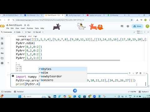 Python array dimenstions