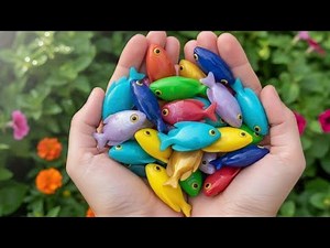 ✨ Colorful Aquarium Fish Swimming Gracefully | Relaxing Underwater Beauty