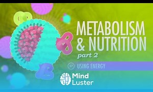 Mind Luster - Learn Metabolism Nutrition Part 2 Crash Course A P 37
