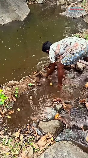 7.9K reactions · 4 comments | Fish..  #fishing #fish #fishinglife #bassfishing #catchandrelease #outdoors #nature #angler #carpfishing #flyfishing #fishingislife #bass #pesca #fishingtrip #carp #fishingaddict #largemouthbass #fisherman #trout #saltwaterfishing #hunting #bigfish #angling#mountains #villagelife #travelphotography #trendingaudio #instagood❤️❤️ | A Moundain Farmer Alagarsamy | Facebook