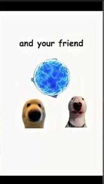 Dog Explains How To Make A Black Hole 💀🐶 #shorts #funny #funnydogs #memes #viral #comedy