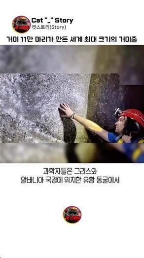 거미 11만 마리가 만든 세계 최대 크기의 거미줄