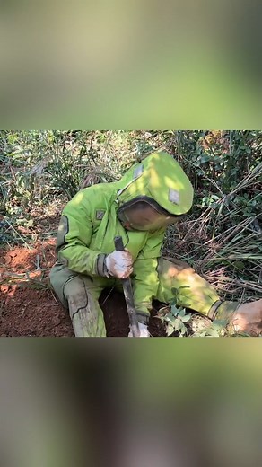 2.8K views · 12 reactions | #hornetcontrol #hornetsafety #hornetnestremoval #pestcontrol #hornetextermination #gianthornets #waspremoval #hornetattack #wildliferescue #hornetnest #wasremoval #removal #nature #wildlife | Hunter Wasps | Facebook