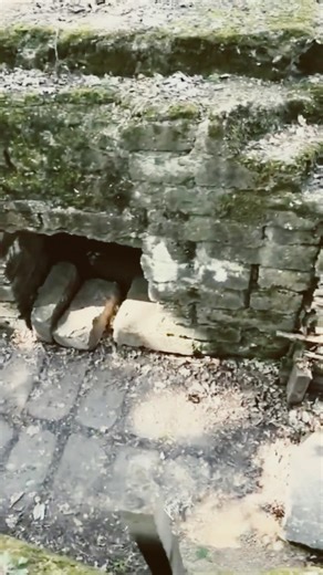 Inside the Great War: Exploring the Bayernwald Trenches near Ypres #WWI #GreatWar #MilitaryHistory
