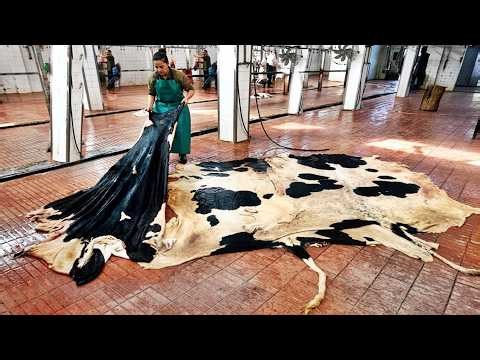 Inside the Cow-Leather Factory: How Premium Luxury Goods Are Made from Cow Skin