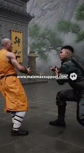 Shaolin vs Banshay #shaolin #martialarts #kickboxing #movie #shorts #fighting #viral #film #mma