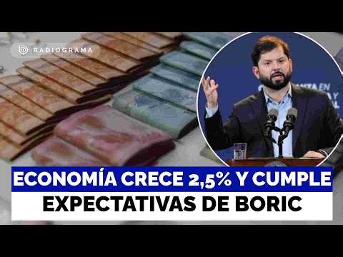 Chile's economy grew by 2.5% in 2025, meeting the expectations of the previous government.