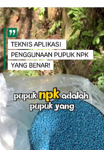 Teknis Aplikasi Pupuk NPK yang Benar untuk Pertanian