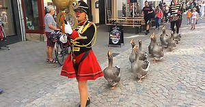 Marching geese band brings positivity and smiles with parade