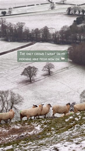 The only crowds I want to share my morning hike with is these chaps 🐑 Anyone the same?! #snowywalk #winterwalk #snowday #countryside #snowy