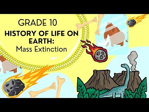 INTRO to Mass extinctions | EASY to understand