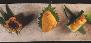 A Simple Guide to Sea Urchins | Pangea Shellfish Company