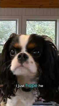 Watch Micro Brands Drive Creativity