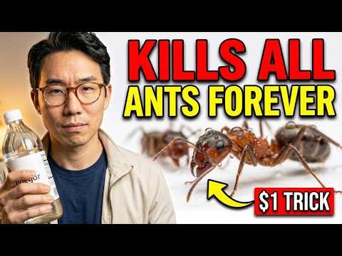 $1 Vinegar Trail Trick KILLS ALL Ants in Your Home. FOREVER. Pest Control BURIED This Method