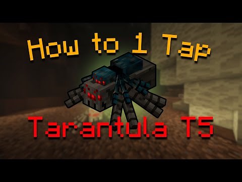 How to One Tap & Phase Skip Tarantula Tier 5 | Hypixel Skyblock