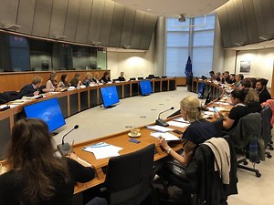 Sustainable Development Goals vs European Pillar of Social Rights? Making two frameworks work together - European Union of the Deaf