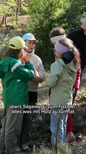 Warum pflanzt man einen Baum? 🌳♻️