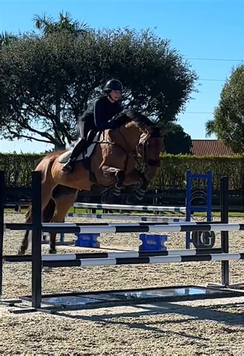 staka today omfg 🤯🦕 | staka