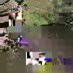 Calakmul, a World Heritage Sight, was a place created for the gods and inhabited by humans! 🏞 Did you know that the views was exclusively dedicated to the gods and priests, so it was a true honor to be at the top and appreciate the wonderful views! This place is home to 350 species of birds, 500 species of butterflies, 96 species of mammals, 1,600 species of plants and is home to the jaguar, the true king of the jungle. At dusk, between 2 and 3 million bats come out in a kind of clockwise spira