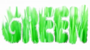 Green Ecology Symbol Word New Grass 库存影片视频（100% 免版税）868156 | Shutterstock