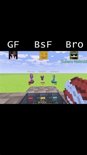GF vs Friend vs Brother: Who knows me best? #quiz #minecraftquiz #girlfriend #brother #relationship