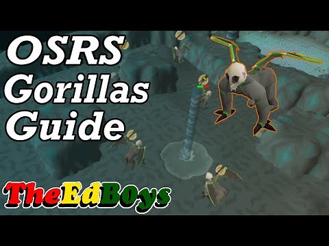OSRS Demonic Gorilla Guide | Old School Runescape How to Fight Gorillas