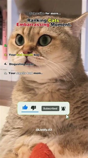 The Most Embarrassing Cat Moments Ever Caught 😅 #CatFails #EmbarrassingCats #FunnyCats